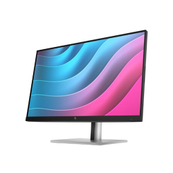 Hp 23.8 E24 G5 Fhd 5Ms Dp Hdmi Vesa Ips (6N6E9Aa) 250Nit Pivot